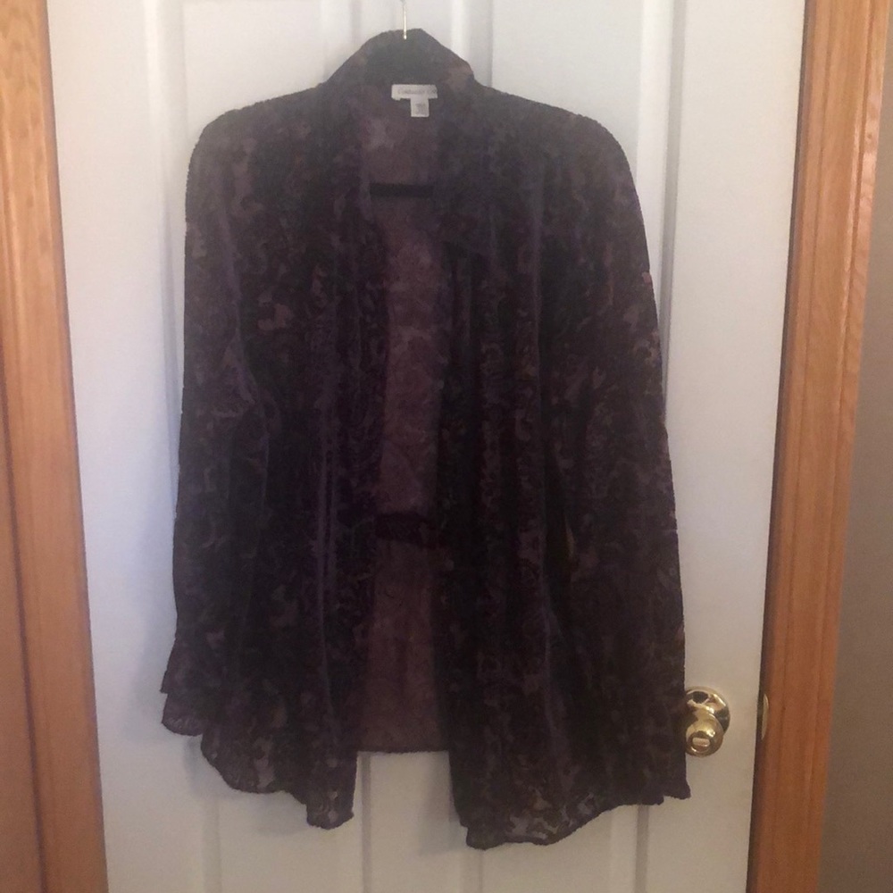 Velvet burnout top